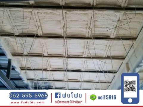 หลังคา และดาดฟ้ามีน้ำซึม ด้วยการเคลือบ Roof seal